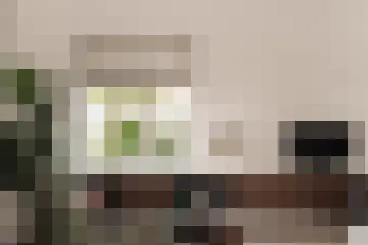 Hoornzwaluw 10 Veenendaal thumbnail 13