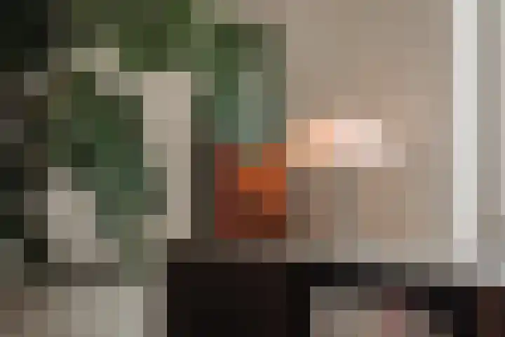 Hoornzwaluw 10 Veenendaal thumbnail 14