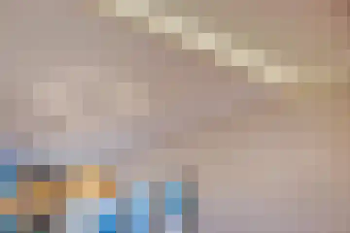 Hoornzwaluw 10 Veenendaal thumbnail 15