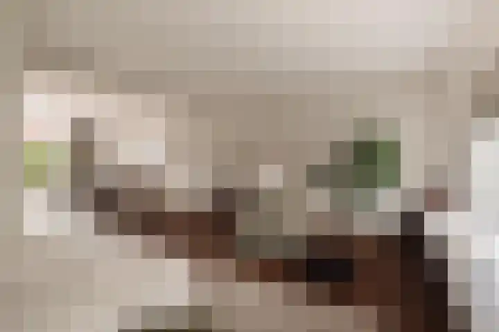 Hoornzwaluw 10 Veenendaal thumbnail 16