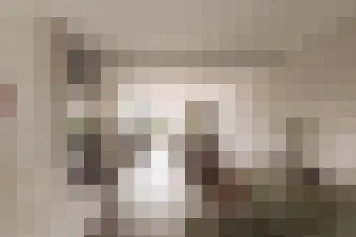 Hoornzwaluw 10 Veenendaal thumbnail 17