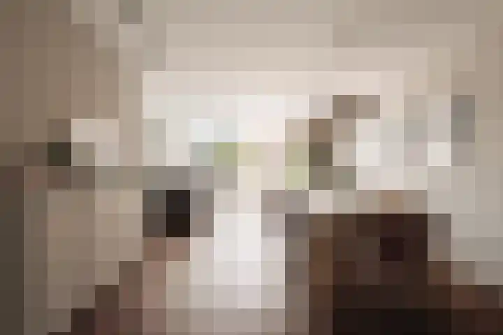Hoornzwaluw 10 Veenendaal thumbnail 18