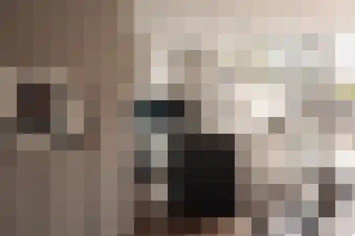 Hoornzwaluw 10 Veenendaal thumbnail 19