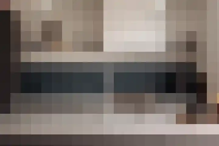 Hoornzwaluw 10 Veenendaal thumbnail 20