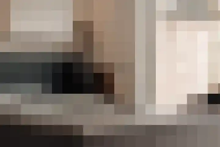 Hoornzwaluw 10 Veenendaal thumbnail 21