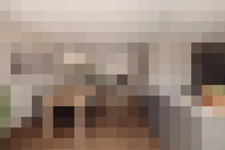 Hoornzwaluw 10 Veenendaal thumbnail 22