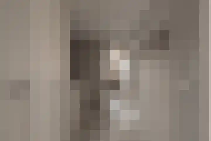 Hoornzwaluw 10 Veenendaal thumbnail 23