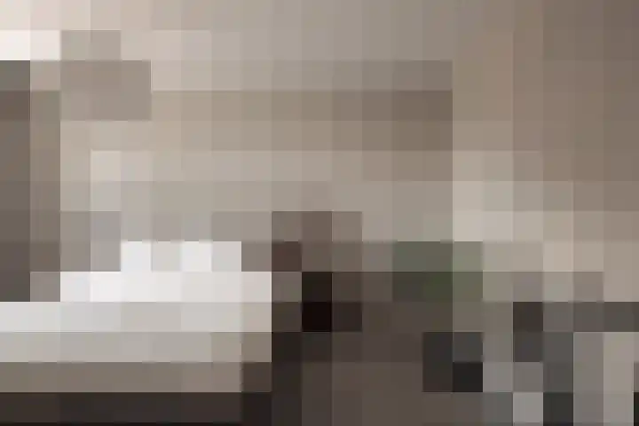 Hoornzwaluw 10 Veenendaal thumbnail 25