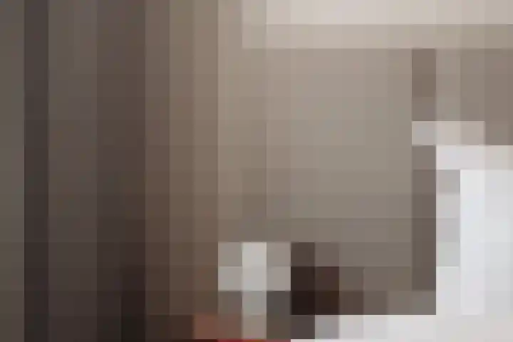 Hoornzwaluw 10 Veenendaal thumbnail 27