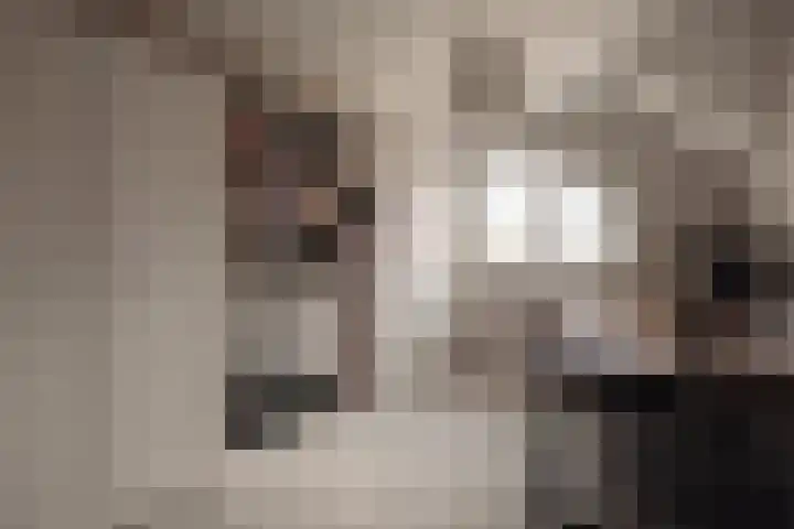 Hoornzwaluw 10 Veenendaal thumbnail 30