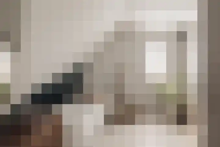 Hoornzwaluw 10 Veenendaal thumbnail 31