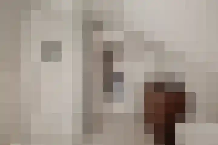 Hoornzwaluw 10 Veenendaal thumbnail 33