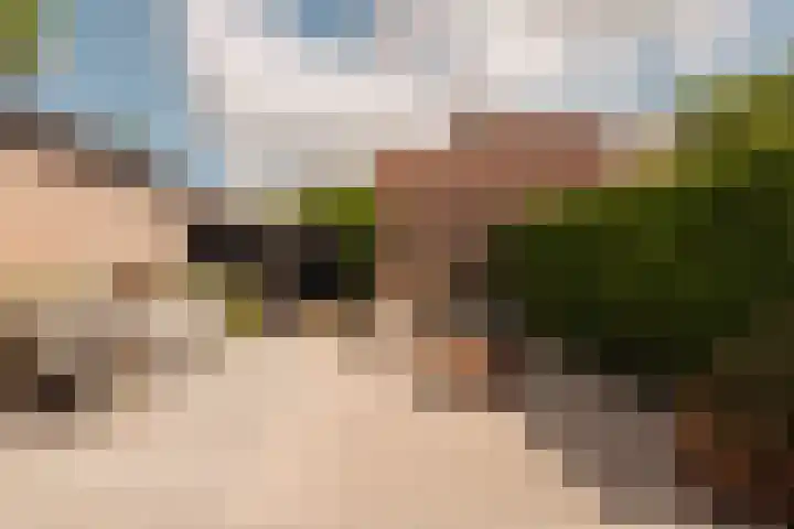 Hoornzwaluw 10 Veenendaal thumbnail 40