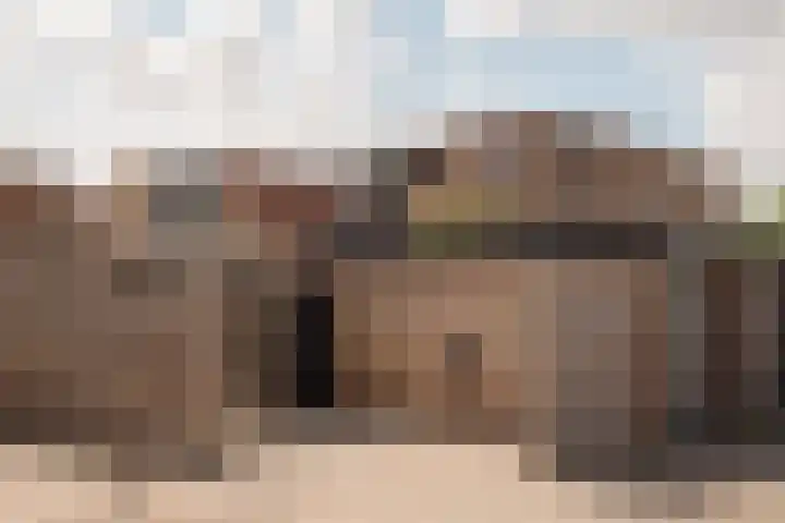 Hoornzwaluw 10 Veenendaal thumbnail 44