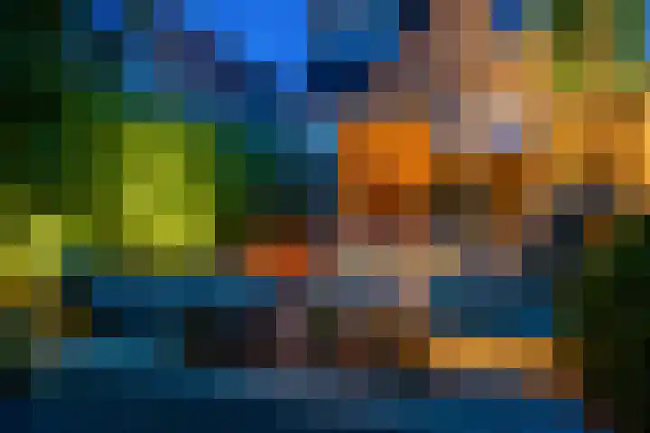 Hoornzwaluw 10 Veenendaal thumbnail 45