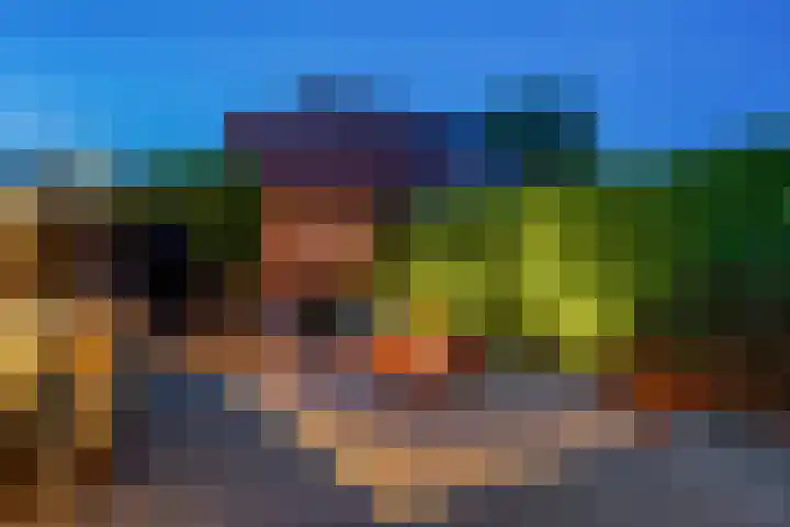 Hoornzwaluw 10 Veenendaal thumbnail 46