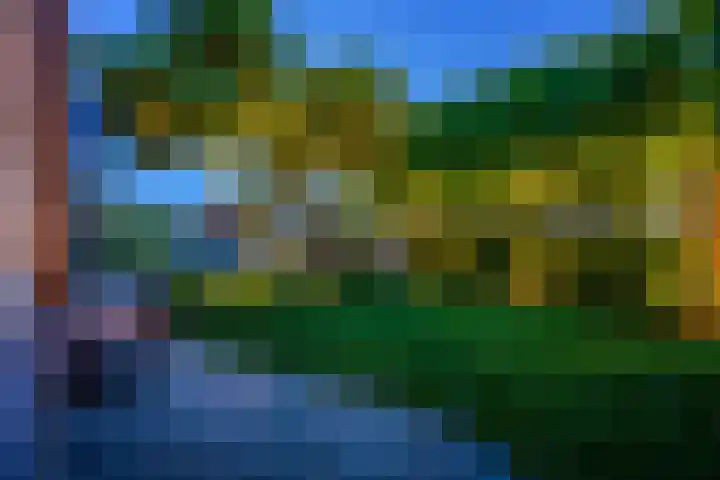 Hoornzwaluw 10 Veenendaal thumbnail 47