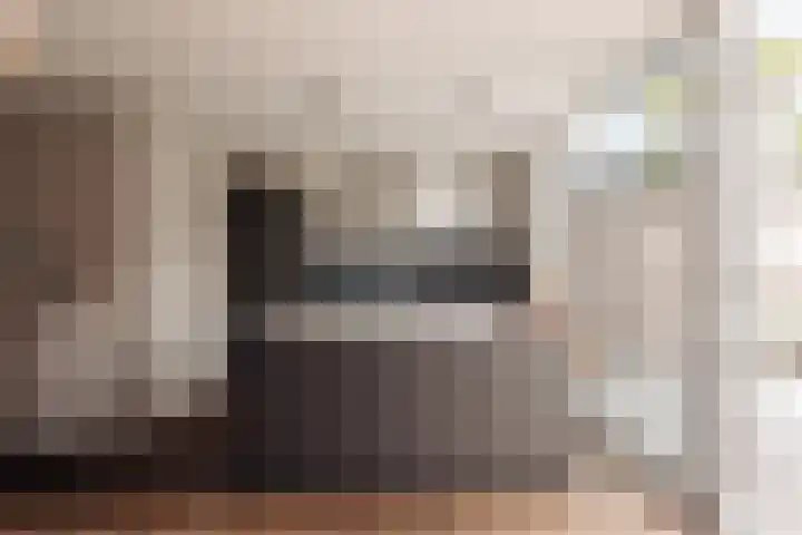 Hoornzwaluw 10 Veenendaal thumbnail 5