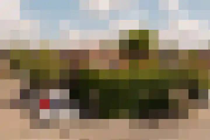 Hoornzwaluw 10 Veenendaal thumbnail 6