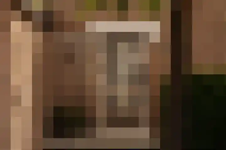 Hoornzwaluw 10 Veenendaal thumbnail 7