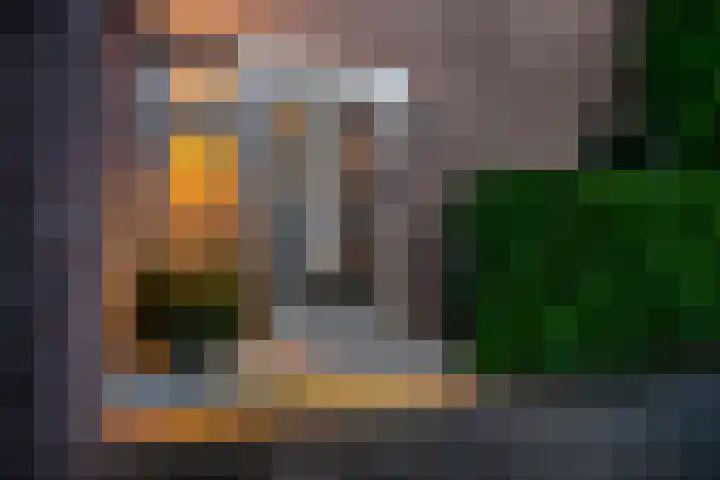 Hoornzwaluw 10 Veenendaal thumbnail 8