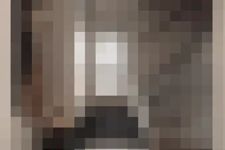 Hoornzwaluw 10 Veenendaal thumbnail 9