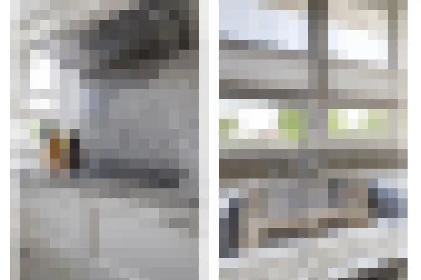 Hoorzik 10 b Kerkdriel thumbnail 12