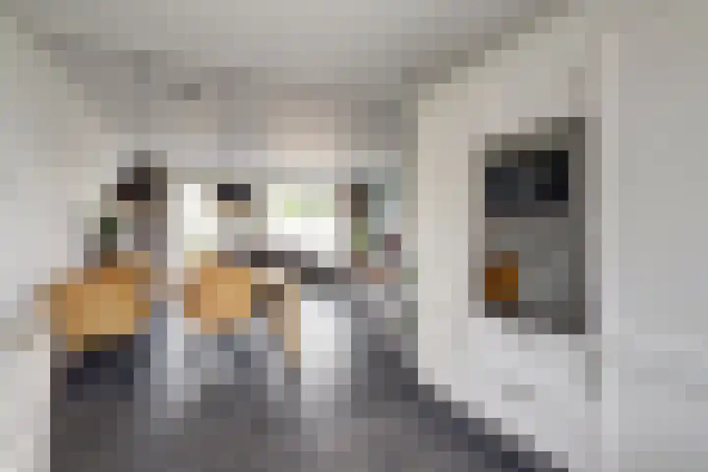 Hoorzik 10 b Kerkdriel thumbnail 13