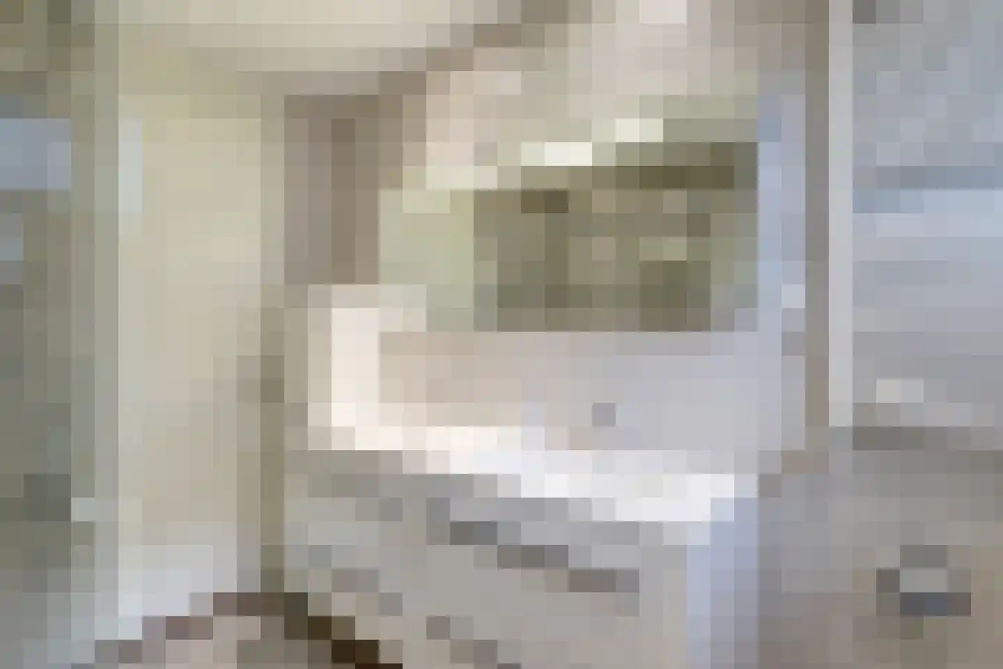 Hoorzik 10 b Kerkdriel thumbnail 31