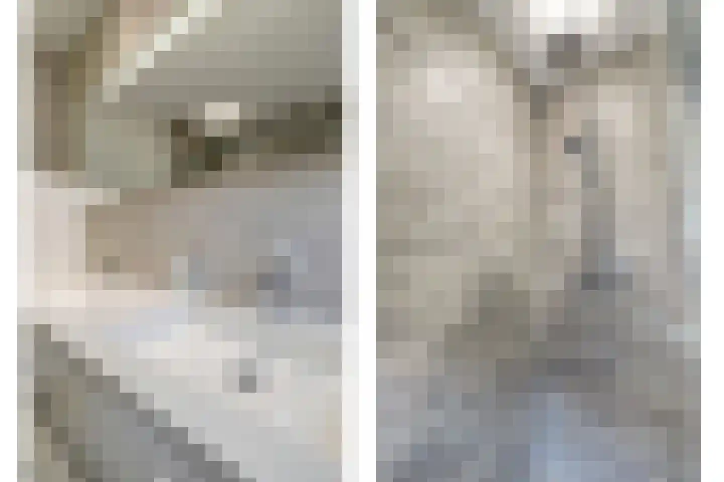 Hoorzik 10 b Kerkdriel thumbnail 32