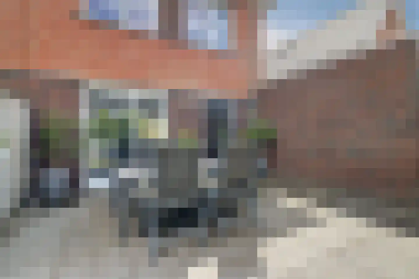 Hoorzik 10 b Kerkdriel thumbnail 39