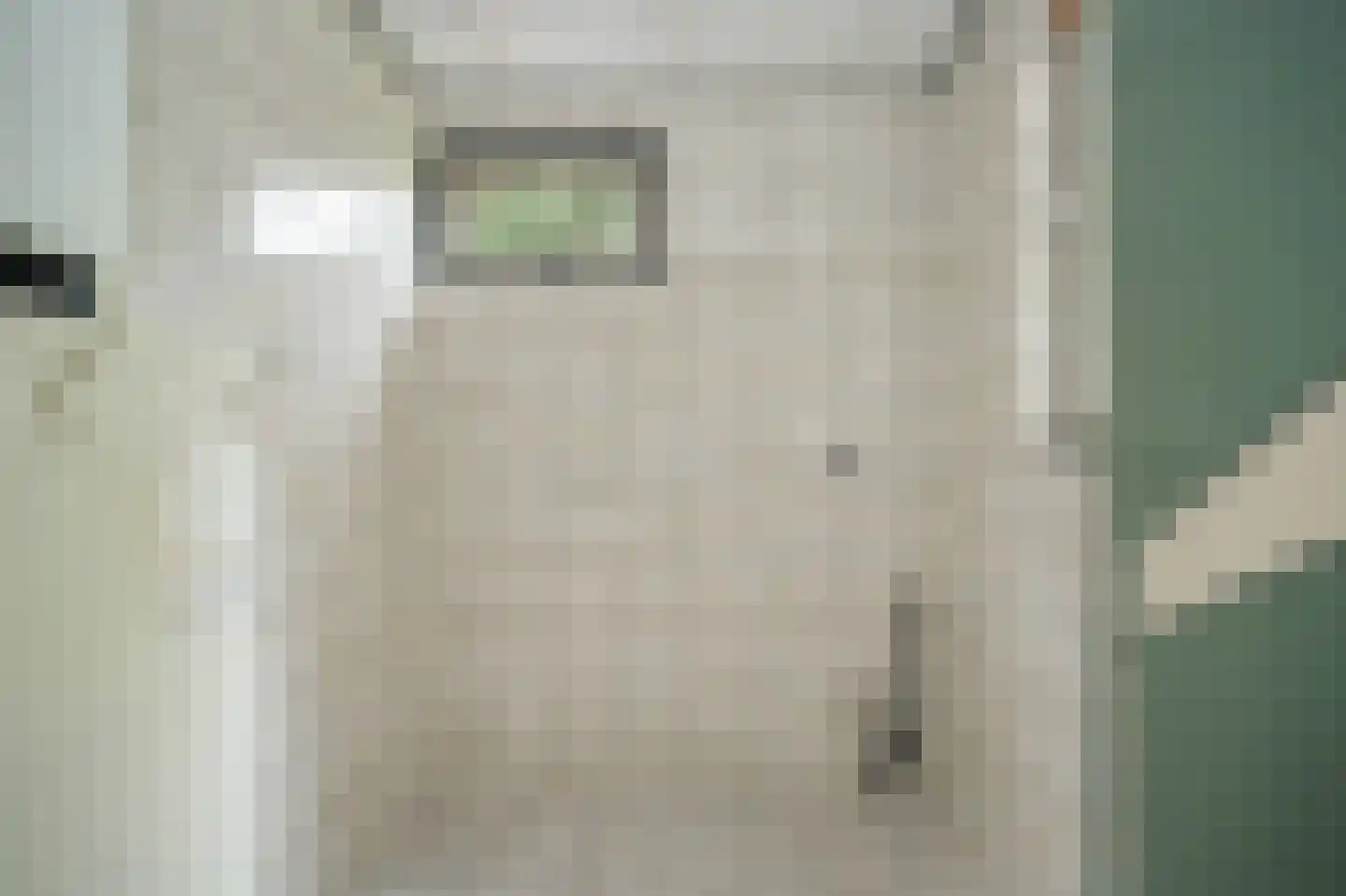 Hoorzik 7 b Kerkdriel thumbnail 28