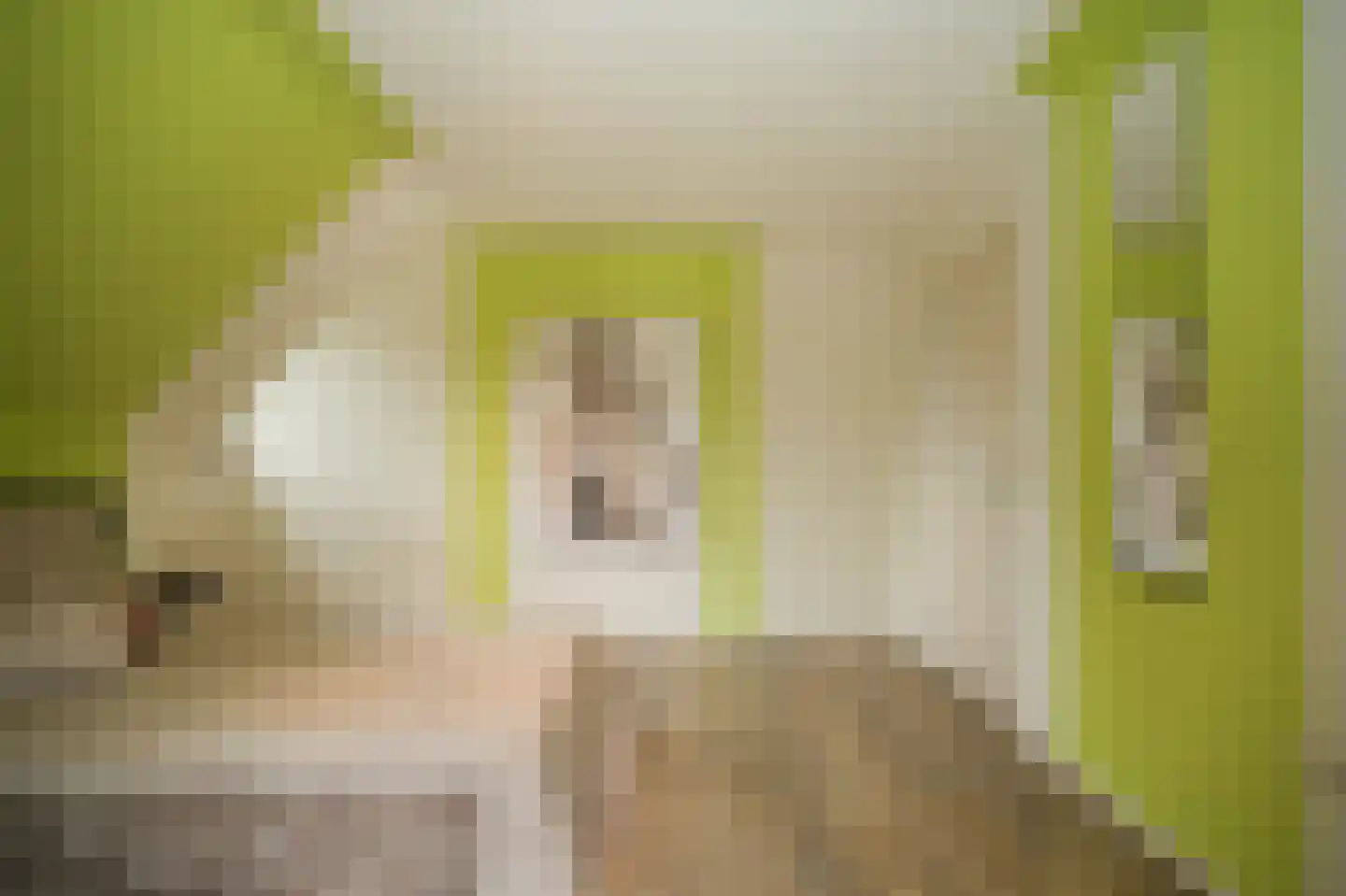 Hoorzik 7 b Kerkdriel thumbnail 35