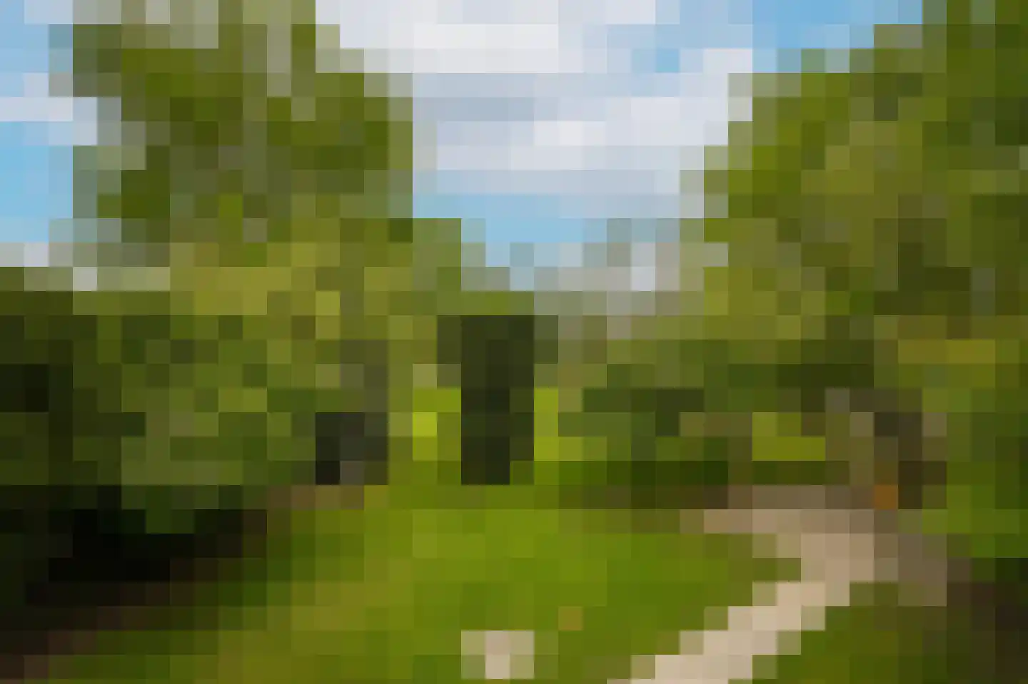 Hoorzik 7 b Kerkdriel thumbnail 37