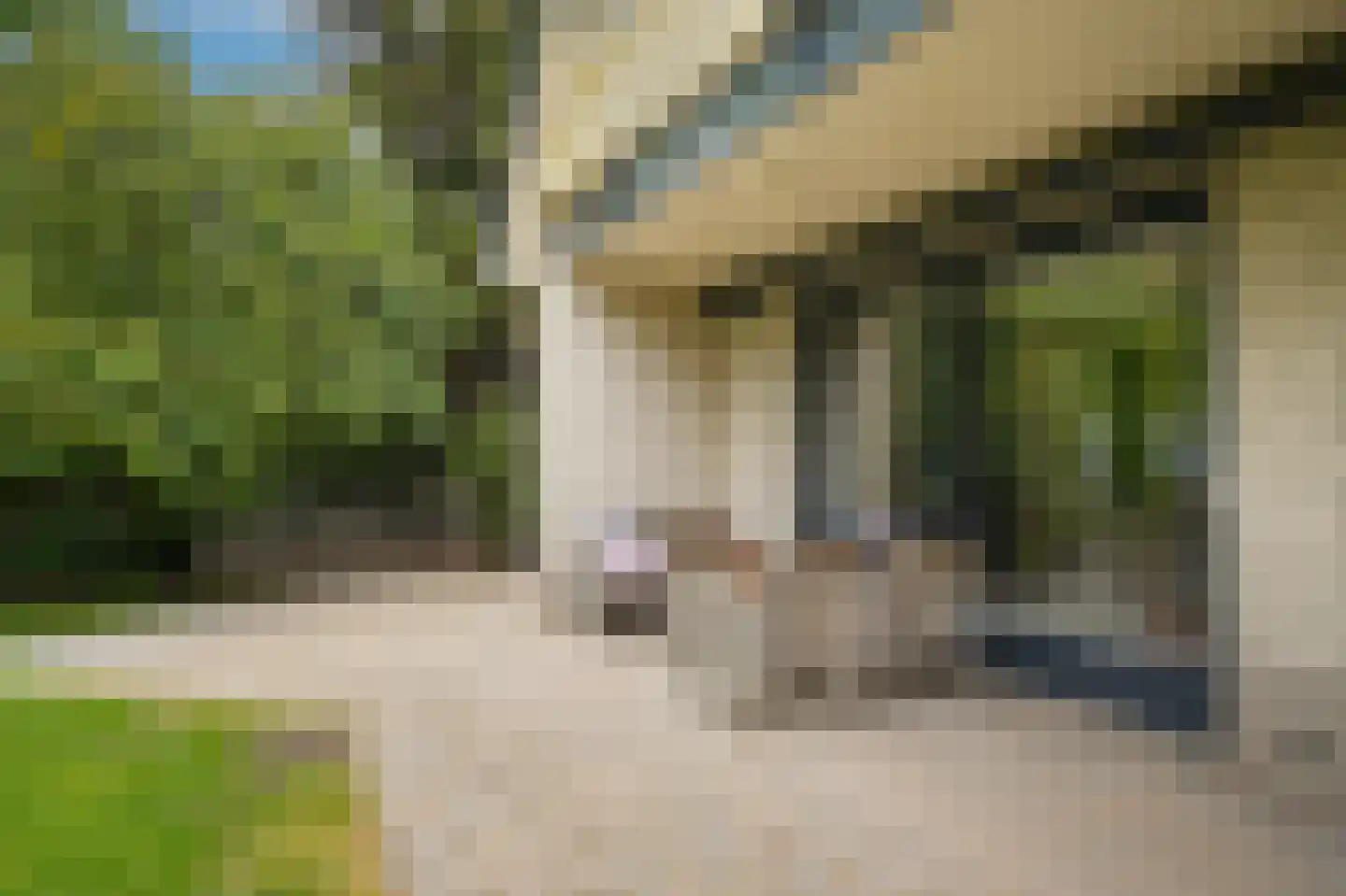 Hoorzik 7 b Kerkdriel thumbnail 64