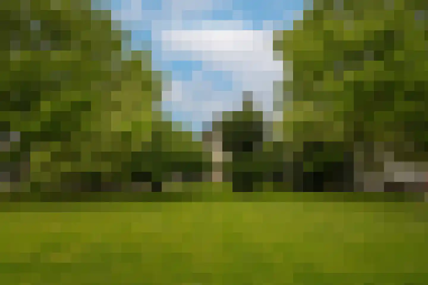 Hoorzik 7 b Kerkdriel thumbnail 70