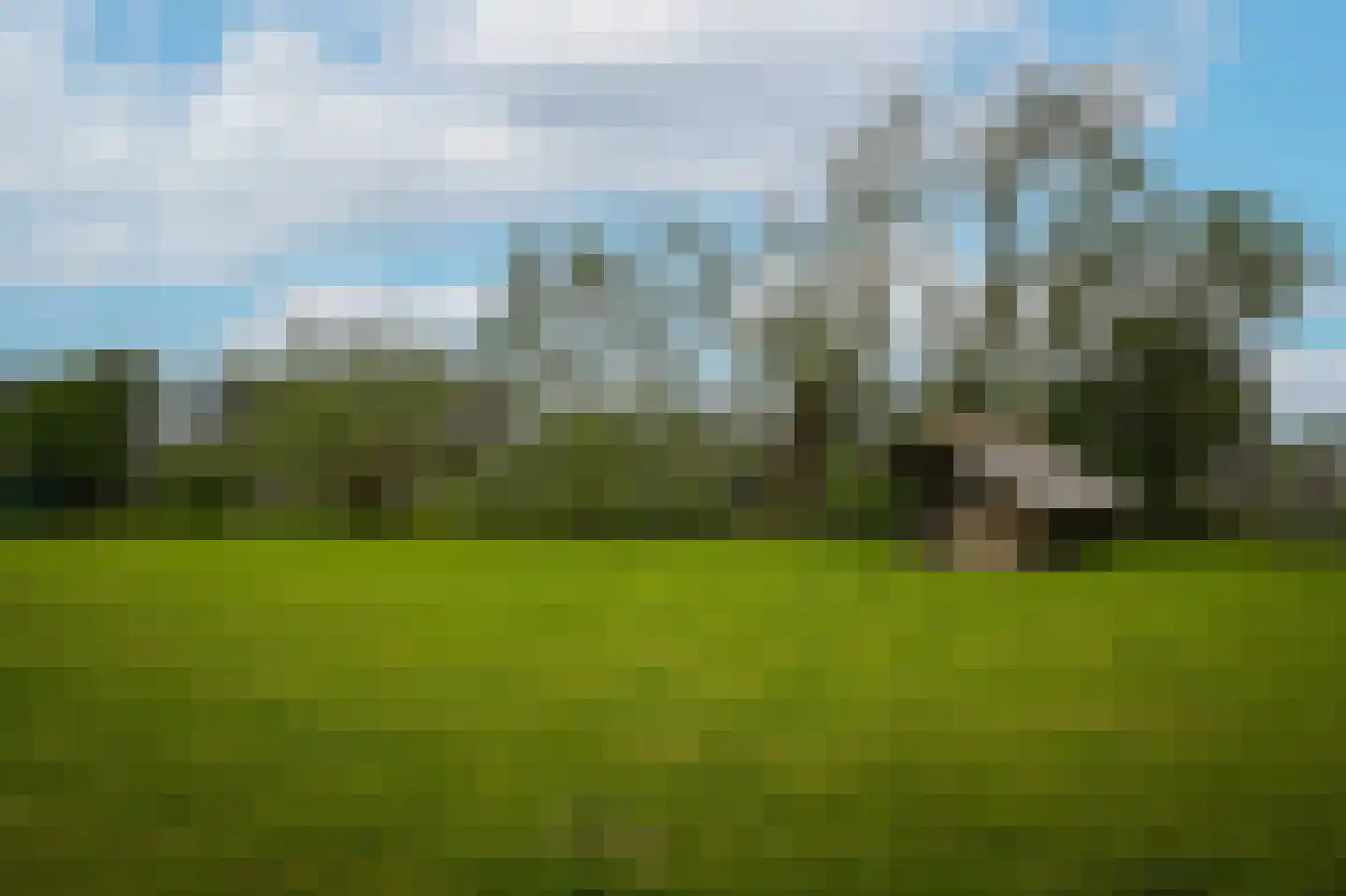 Hoorzik 7 b Kerkdriel thumbnail 72