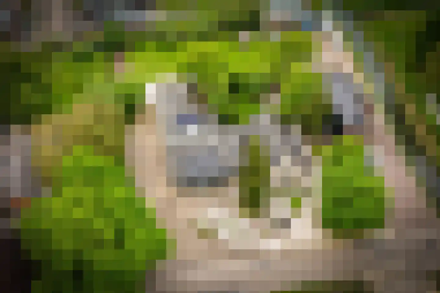 Hoorzik 7 b Kerkdriel thumbnail 87