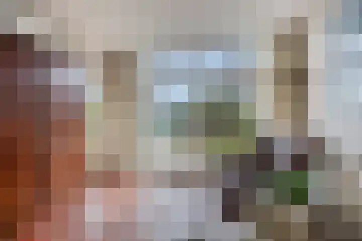 Hoosveld 52 Herkenbosch thumbnail 10