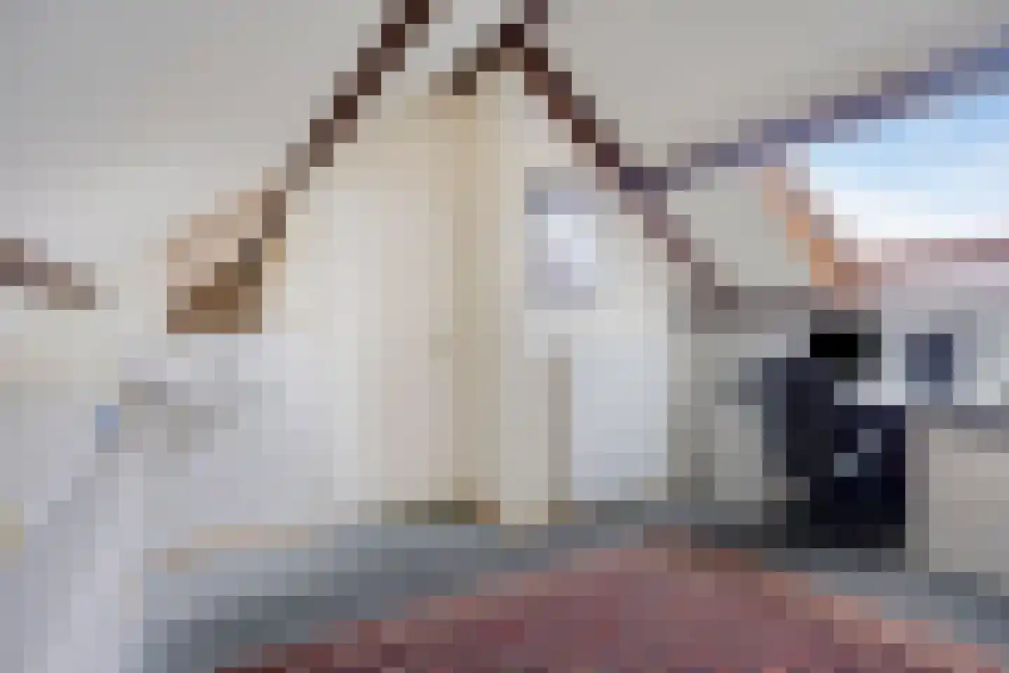 Hoosveld 52 Herkenbosch thumbnail 32