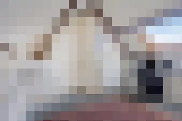 Hoosveld 52 Herkenbosch thumbnail 32