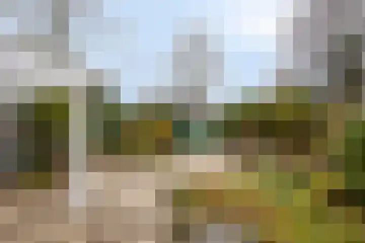 Hoosveld 52 Herkenbosch thumbnail 34
