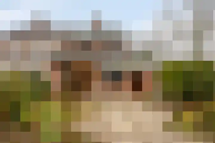 Hoosveld 52 Herkenbosch thumbnail 37