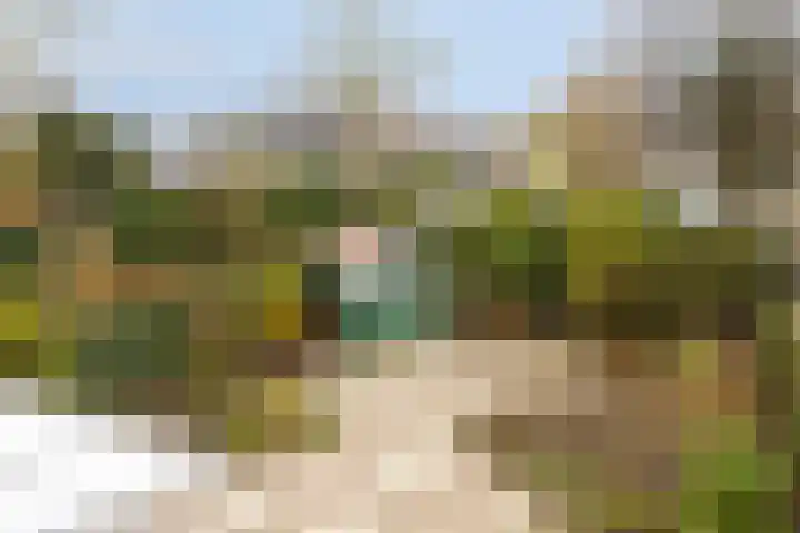 Hoosveld 52 Herkenbosch thumbnail 39