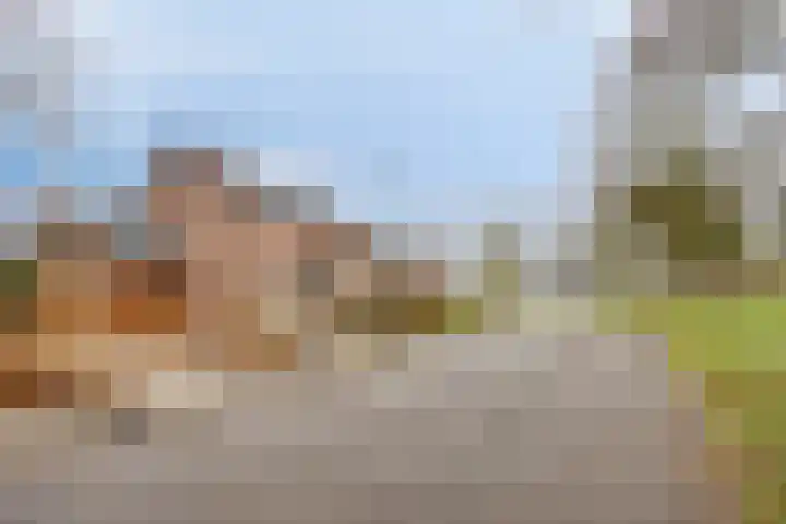 Hoosveld 52 Herkenbosch thumbnail 43