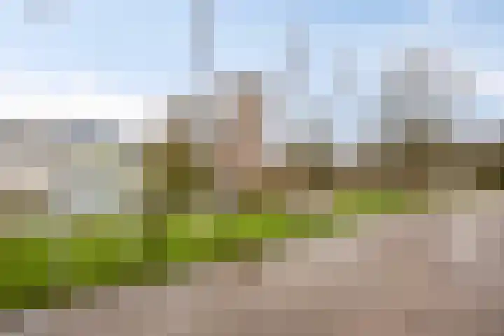 Hoosveld 52 Herkenbosch thumbnail 44