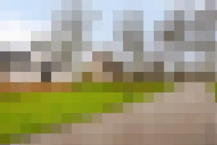 Hoosveld 52 Herkenbosch thumbnail 45