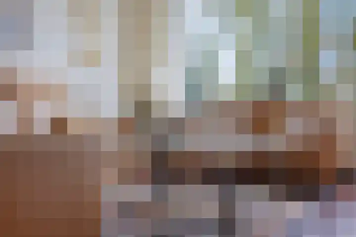 Hoosveld 52 Herkenbosch thumbnail 9