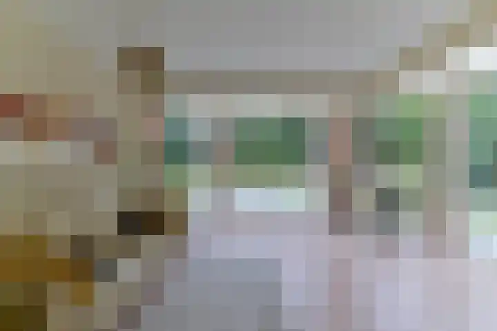 Hoosveld 61 Herkenbosch thumbnail 12