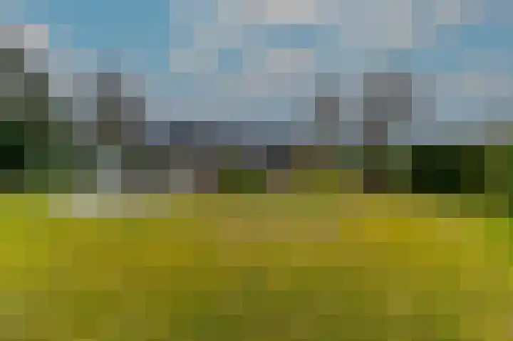 Hoosveld 61 Herkenbosch thumbnail 34